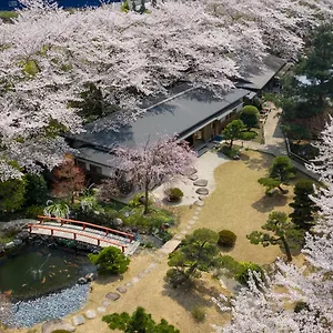 https://sakura-traditional-japanese-hotel.hotels-osaka.net